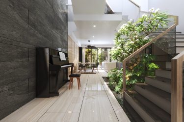 TRỒNG CÂY GIẾNG TRỜI: Có nên hay không ?